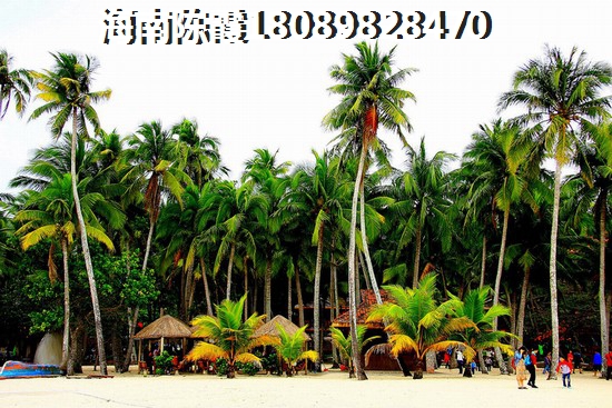 九洲御璟3室2厅1厨2卫建面120.00㎡